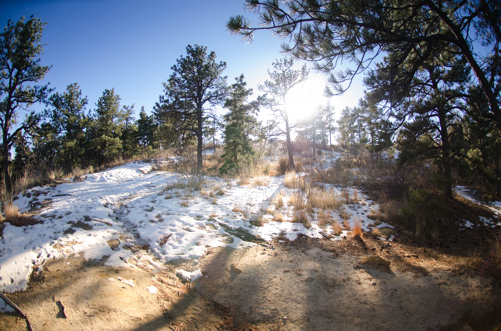 Nikon AF DX Fisheye-Nikkor 10.5mm F2.8G ED sample photo. Colorado springs, co photography