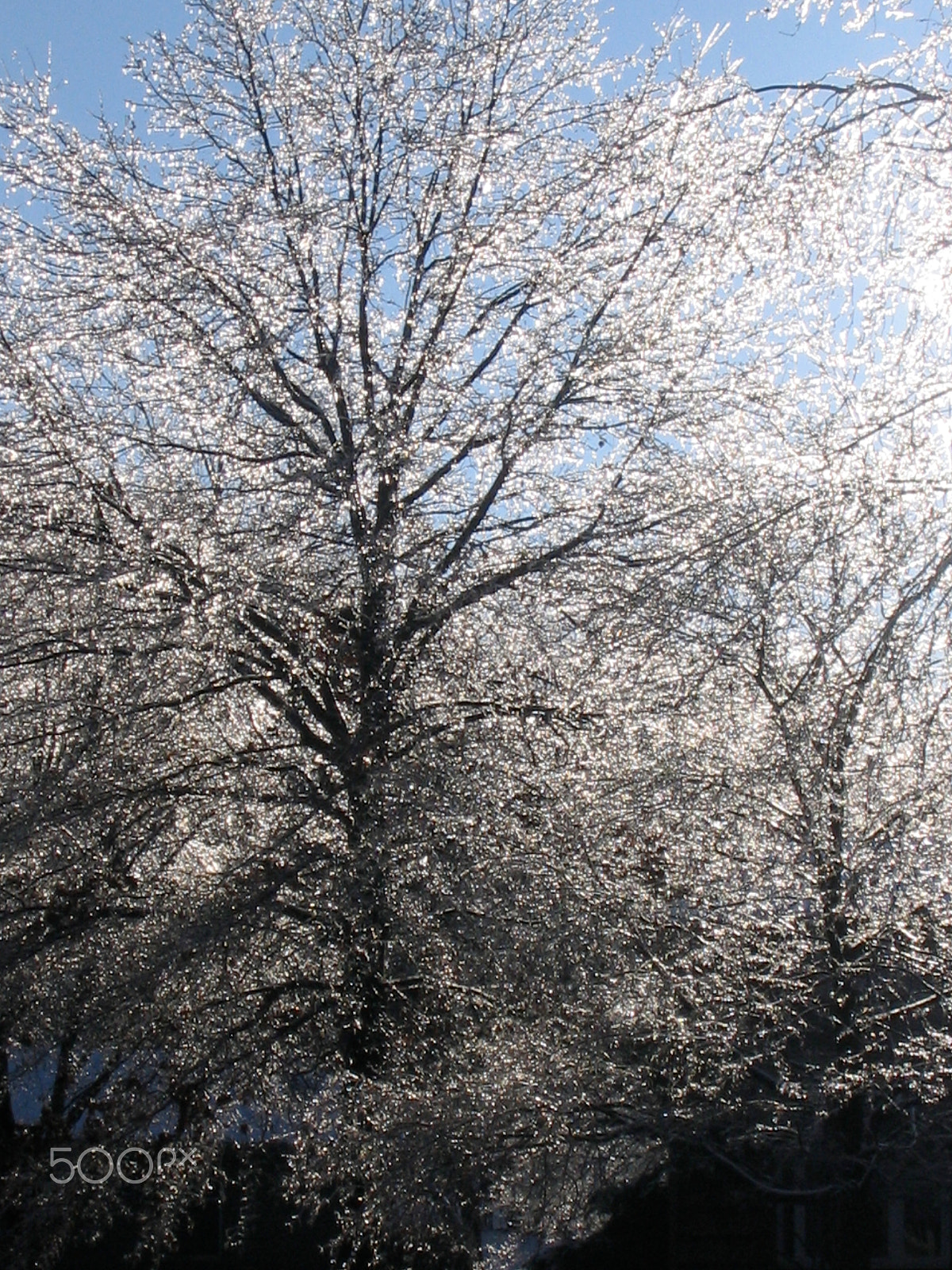 Canon POWERSHOT SD110 sample photo. Industrialized ice photography