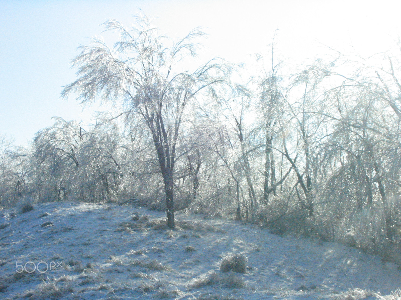 Canon POWERSHOT SD110 sample photo. Industrialized ice photography