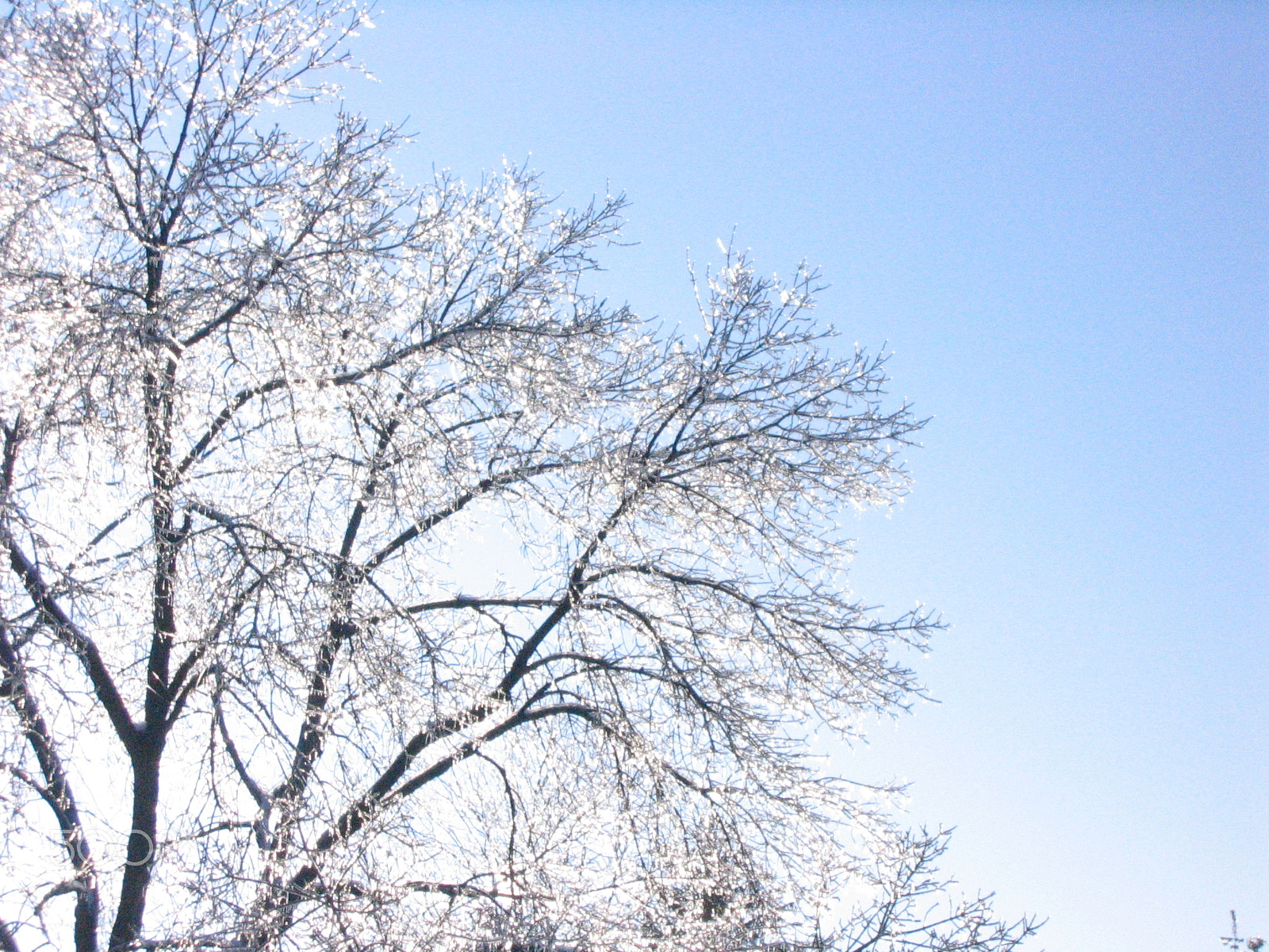 Canon POWERSHOT SD110 sample photo. Industrialized ice photography