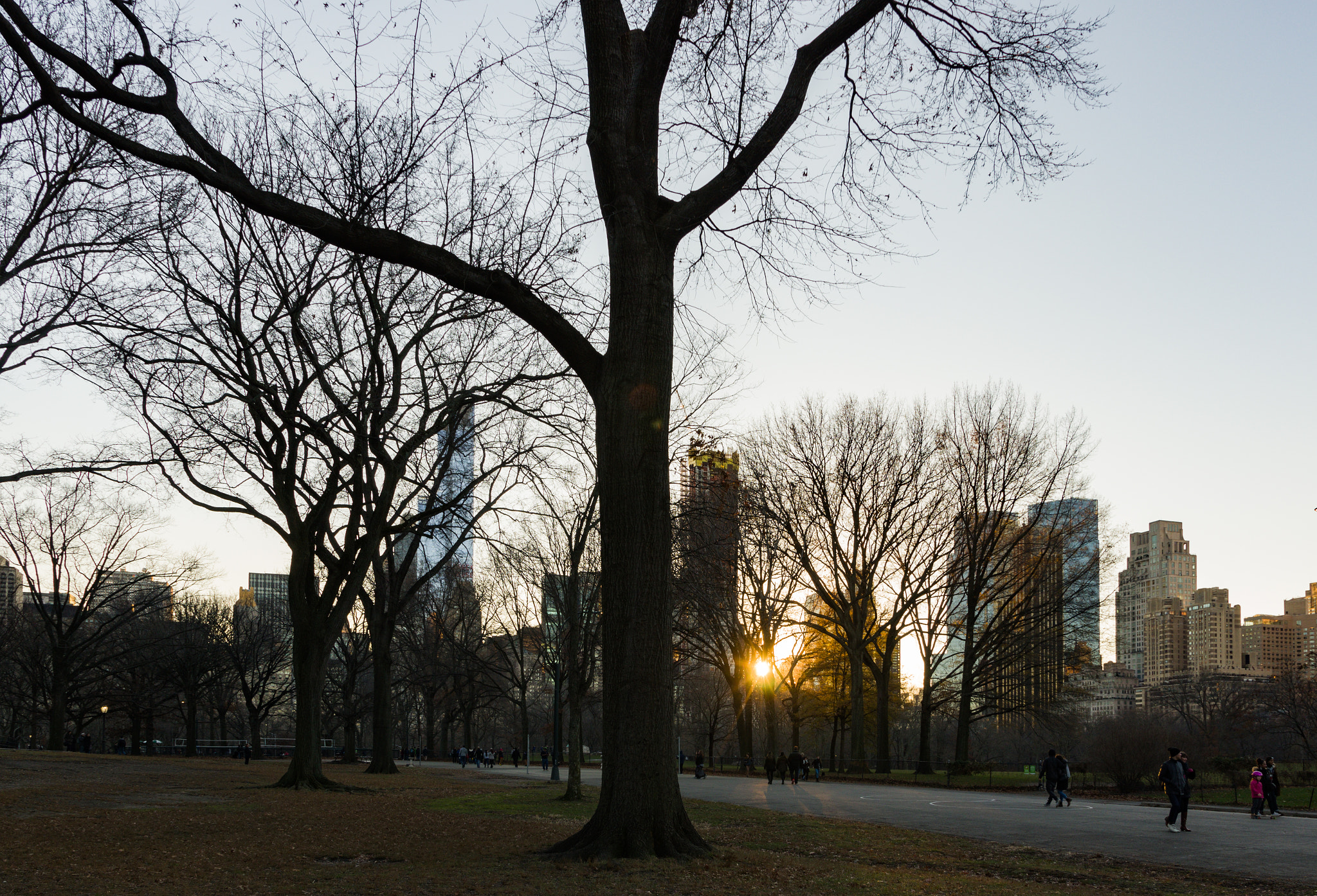 Pentax K-3 II sample photo. Central park sunset photography
