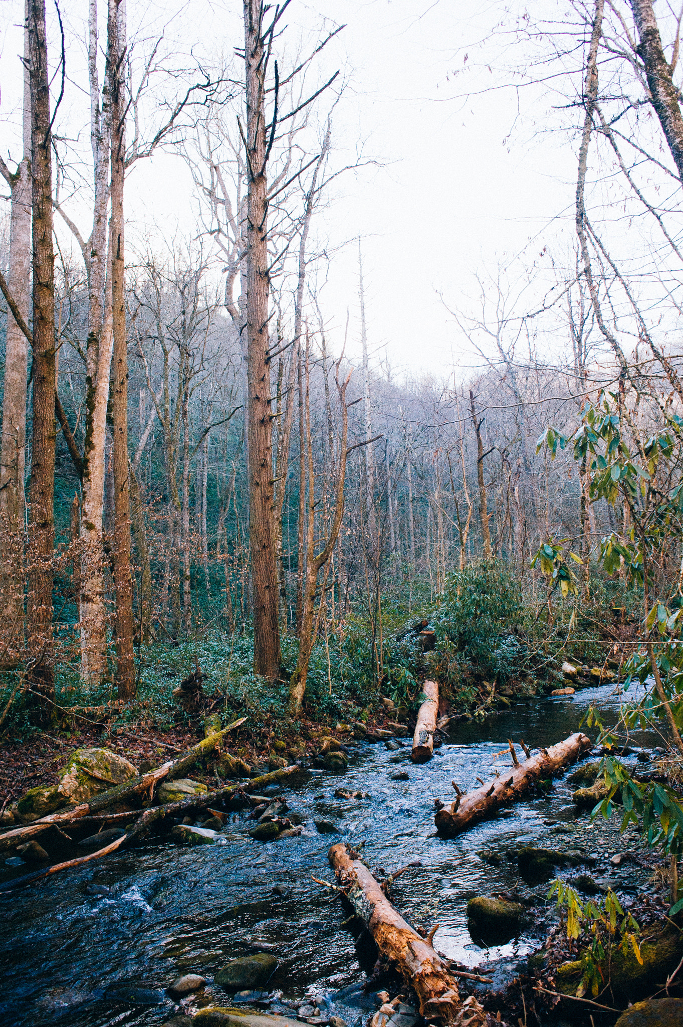 Nikon D700 + Nikon AF Nikkor 24mm F2.8D sample photo. Flowing water is probably safe to drink photography