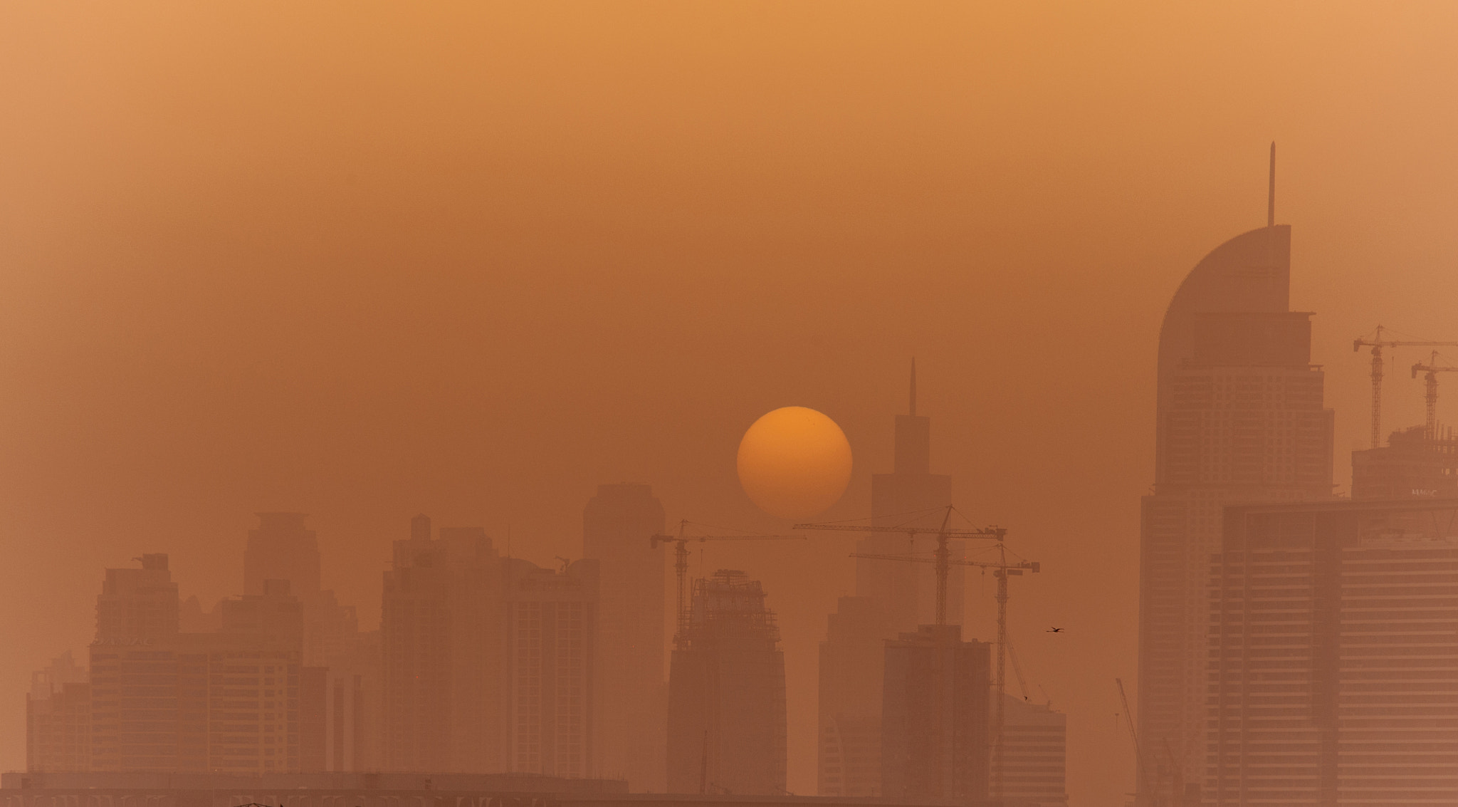 Nikon D3 sample photo. Sun set in big city....! photography