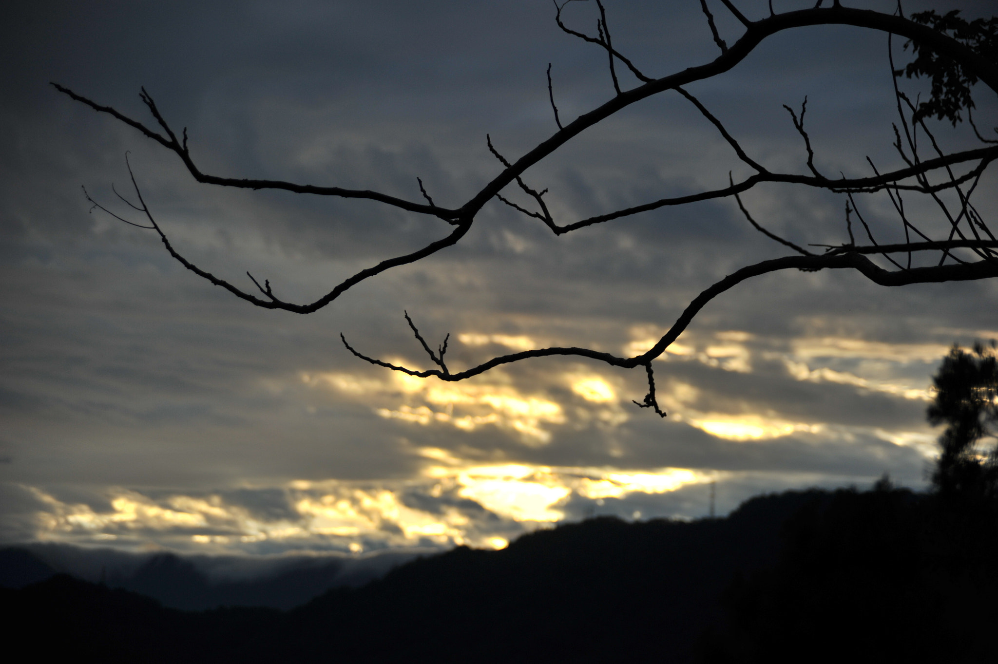 AF Zoom-Nikkor 28-105mm f/3.5-4.5D IF sample photo. .. photography