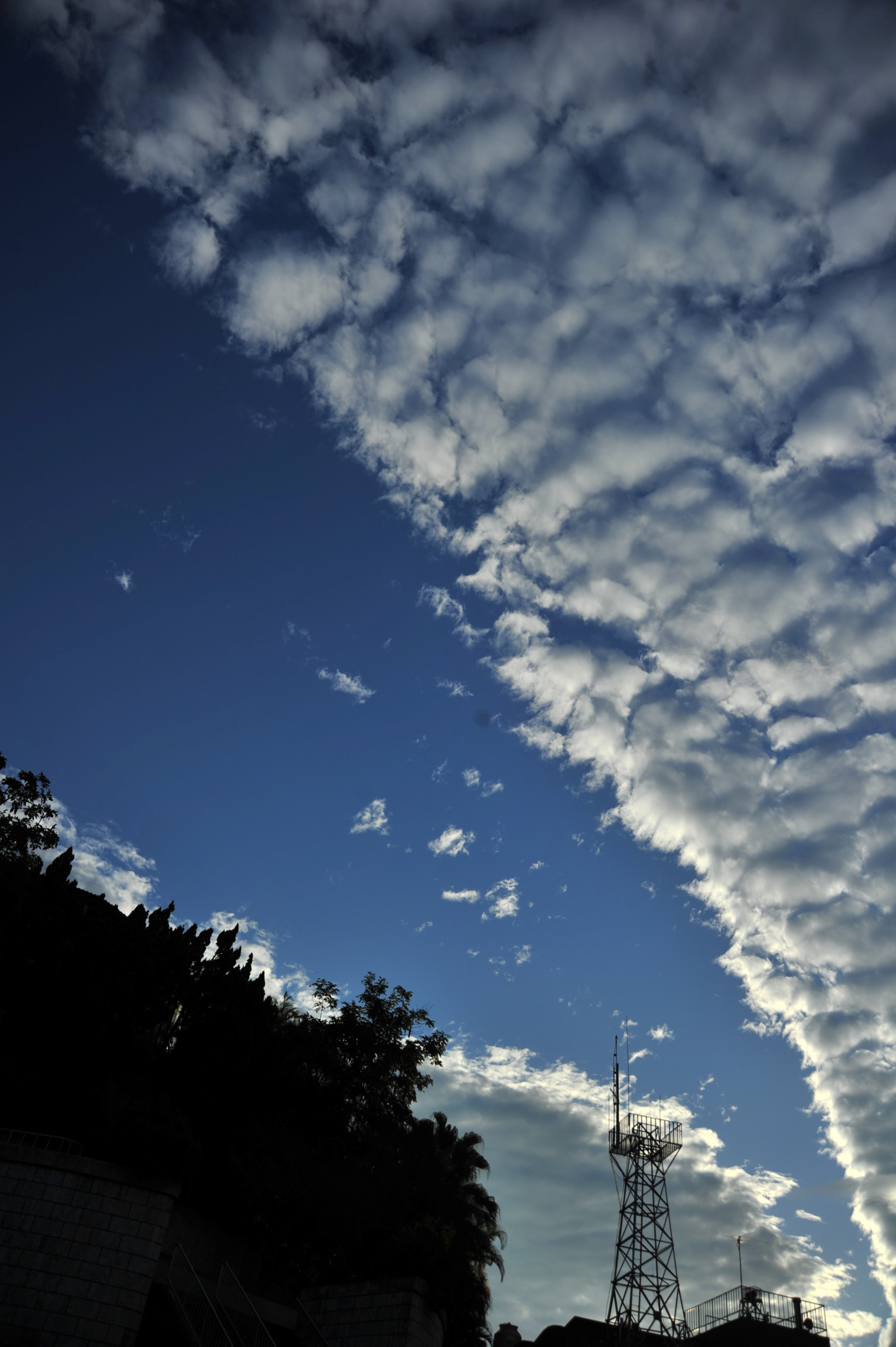 AF Zoom-Nikkor 28-105mm f/3.5-4.5D IF sample photo. .. photography