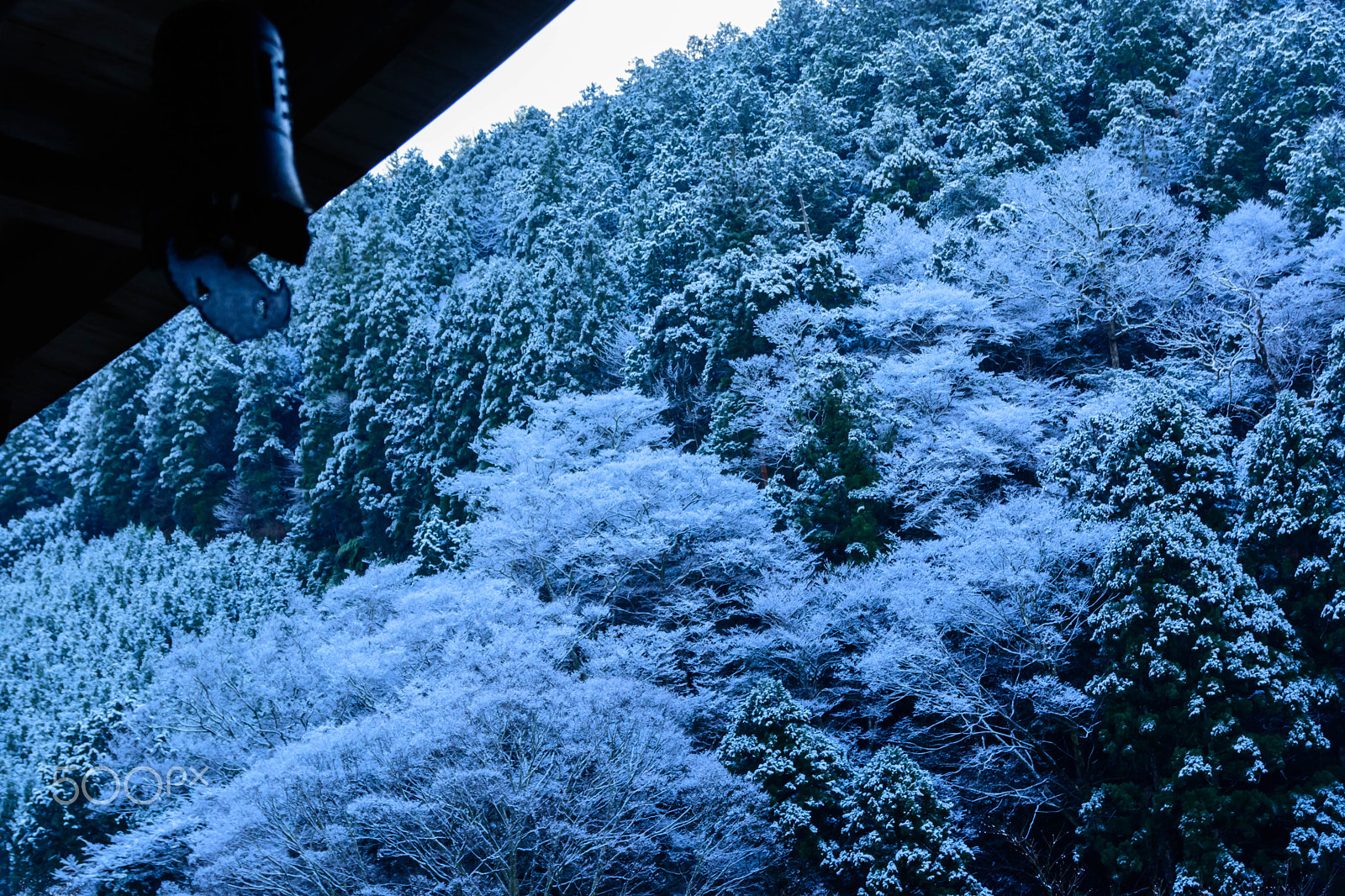 Nikon D5200 + Sigma 18-200mm F3.5-6.3 II DC OS HSM sample photo. 京都にも冬が来た photography