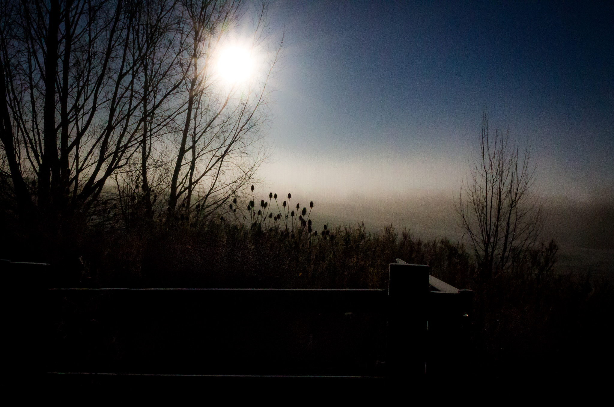 Canon EOS 700D (EOS Rebel T5i / EOS Kiss X7i) + Canon EF 400mm f/2.8L sample photo. Frosty morning photography