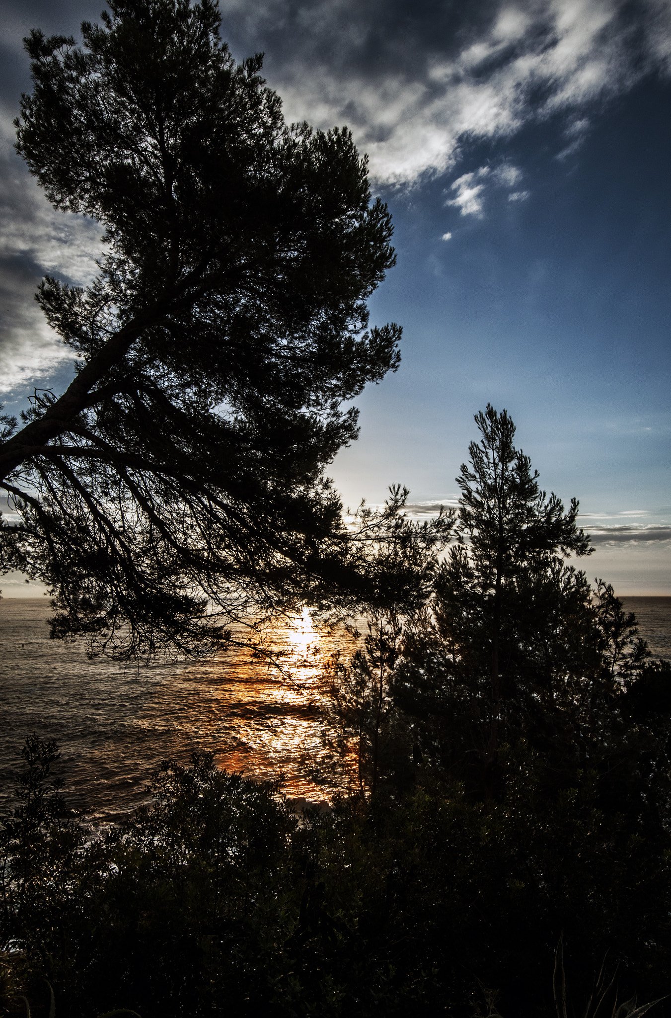 Nikon D5000 sample photo. Sunset beach photography