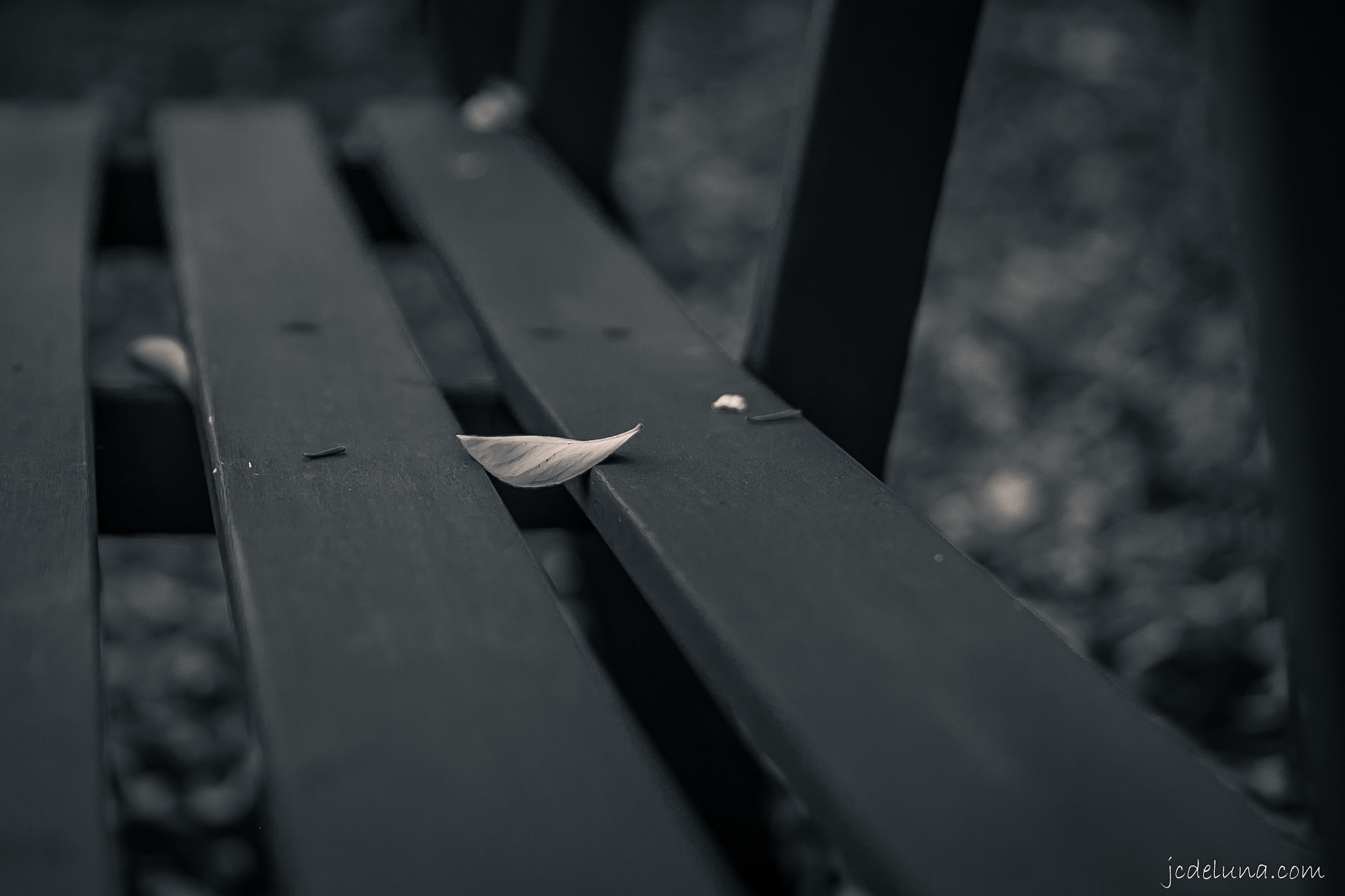 Canon EF 24-85mm F3.5-4.5 USM sample photo. Backyard bench photography