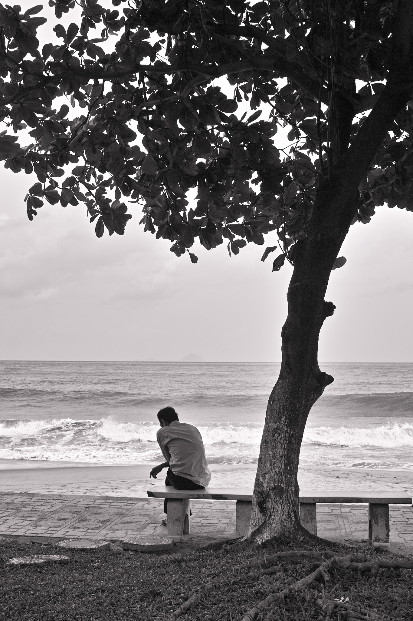 Sigma DP2 sample photo. A man  photography