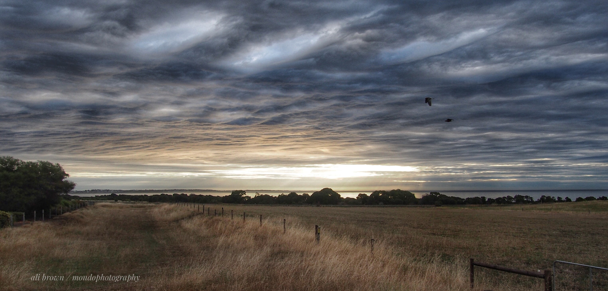 Olympus OM-D E-M5 sample photo. Morning as broken photography