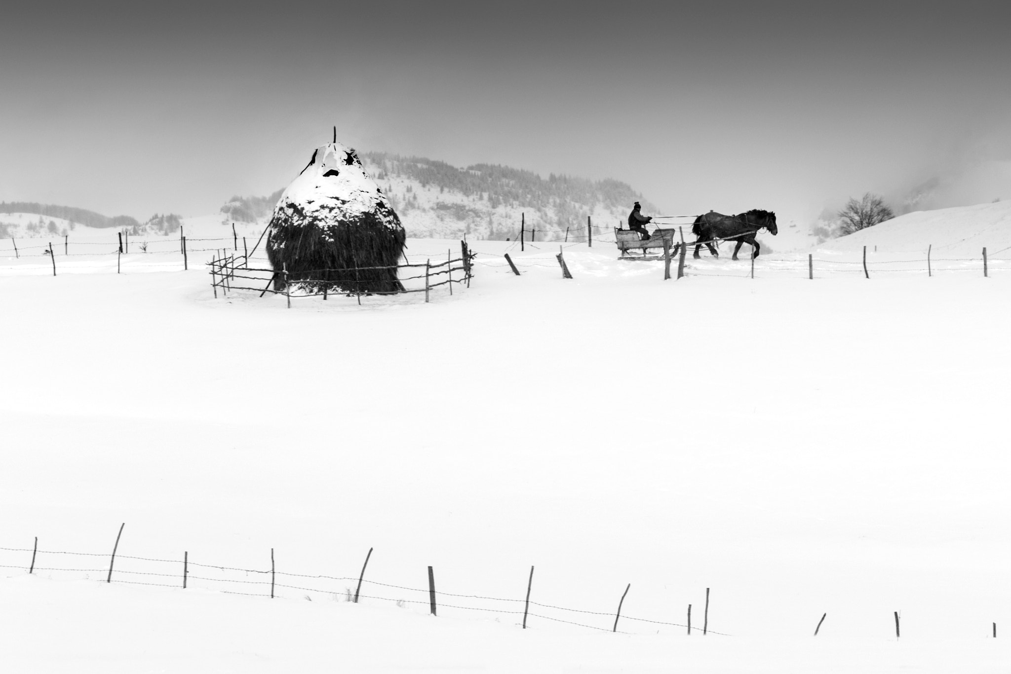 Canon EF 70-200mm F2.8L IS USM sample photo. Let's do cute winter things .... photography