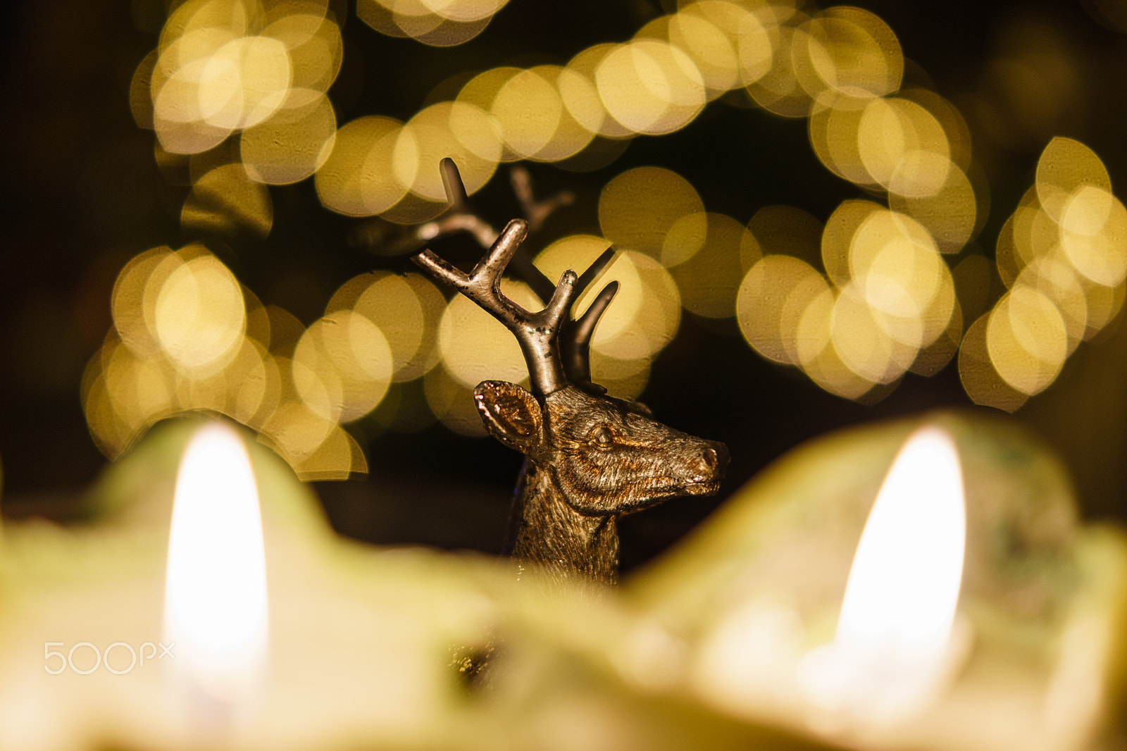 Sony ILCA-77M2 + Sony DT 35mm F1.8 SAM sample photo. Watch out, only 360 days left... photography