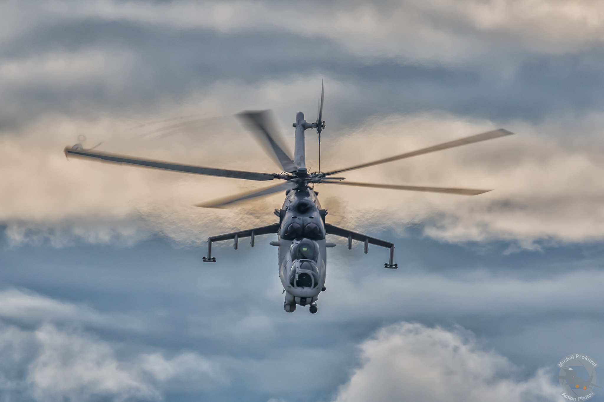 Sigma 150-600mm F5-6.3 DG OS HSM | S sample photo. Hind -1 photography
