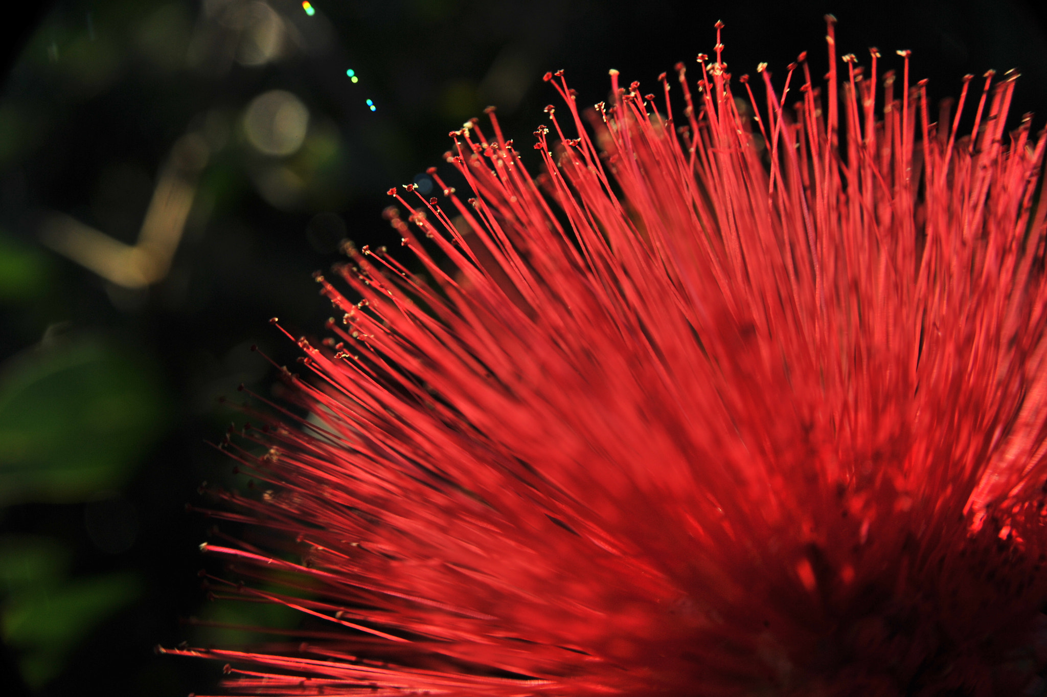 AF Zoom-Nikkor 28-105mm f/3.5-4.5D IF sample photo. .. photography