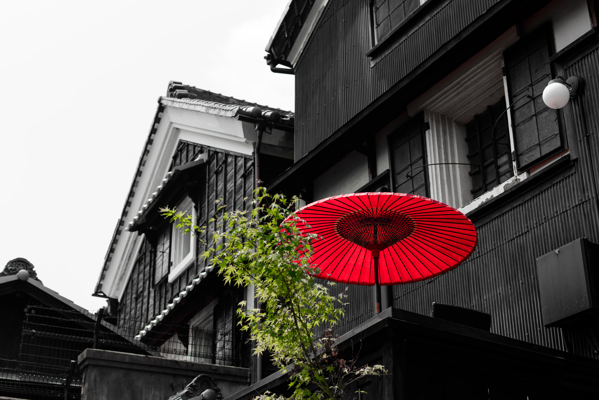 Nikon D810 + Nikon AF-S Nikkor 58mm F1.4G sample photo. 緋色の傘 photography
