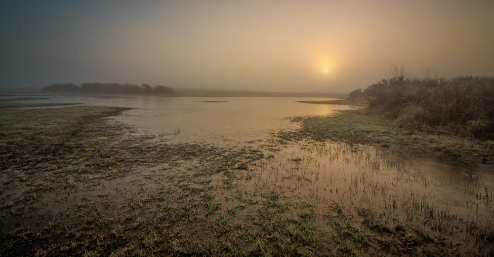 Canon EOS 50D sample photo. Misty morning photography