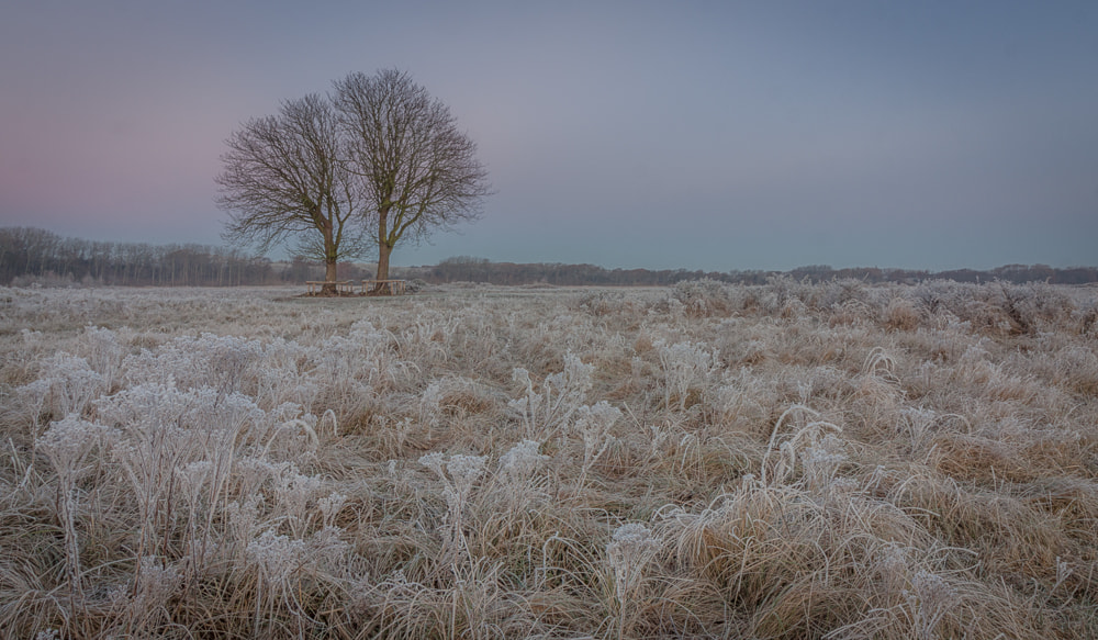 Canon EOS 50D sample photo. Winter morning photography