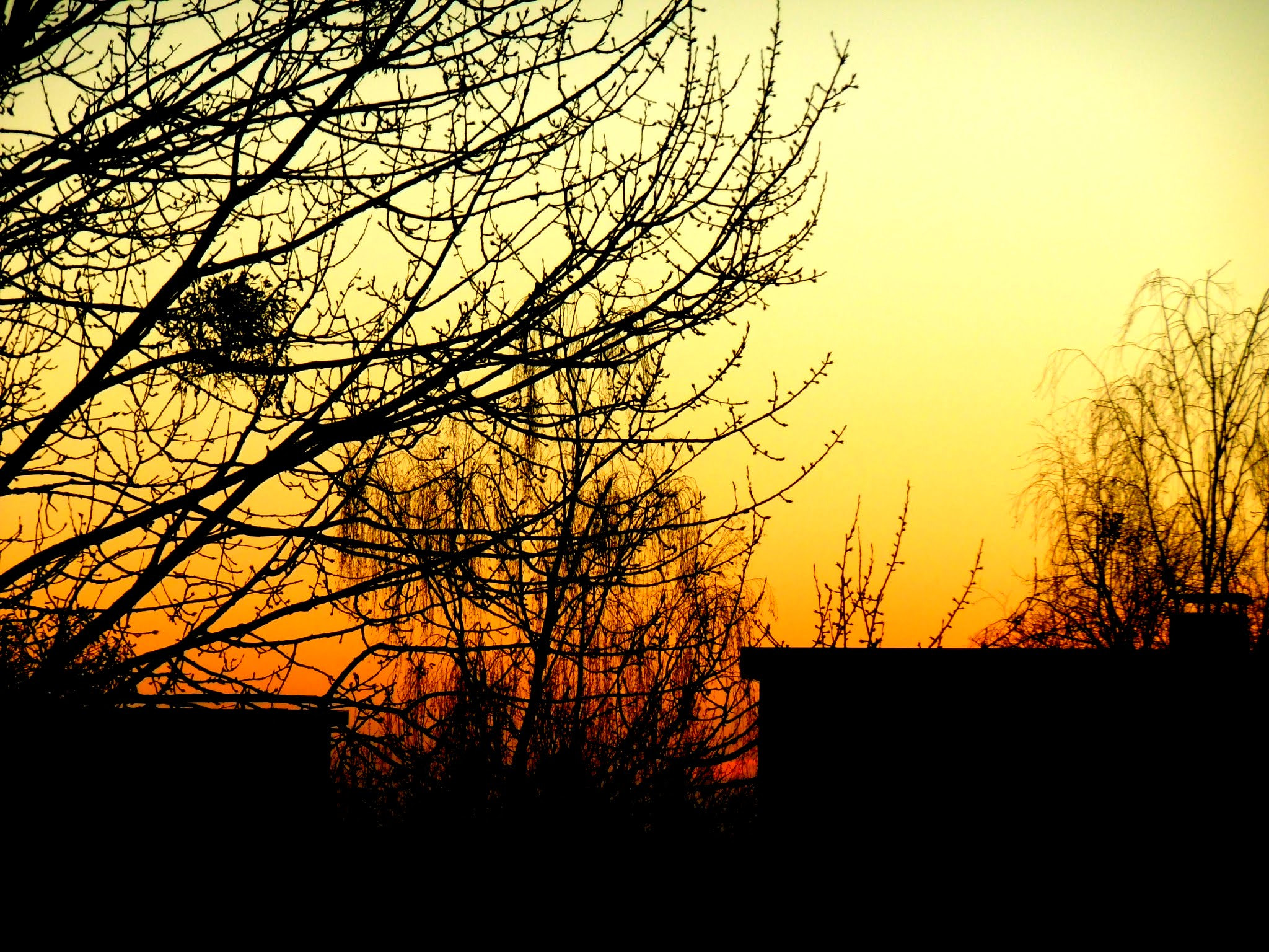 Panasonic DMC-SZ10 sample photo. Sunset last years.  photography