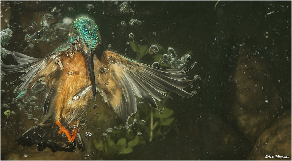 Canon EF 70-200mm F2.8L IS USM sample photo. De pesca con exito photography