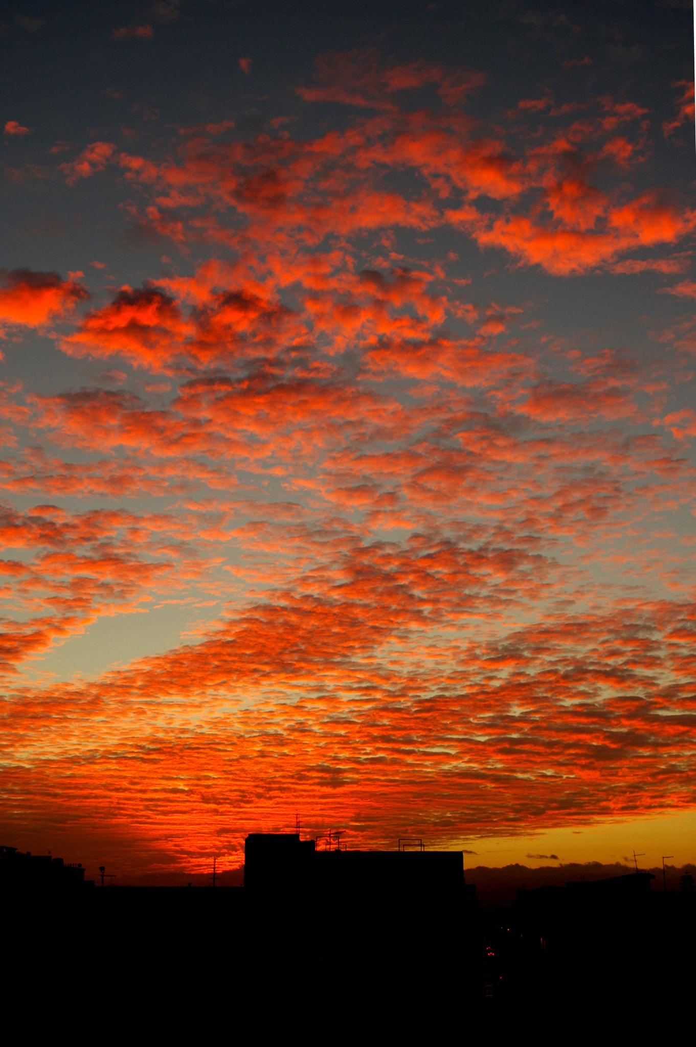 Pentax K100D sample photo. Sky on fire! photography
