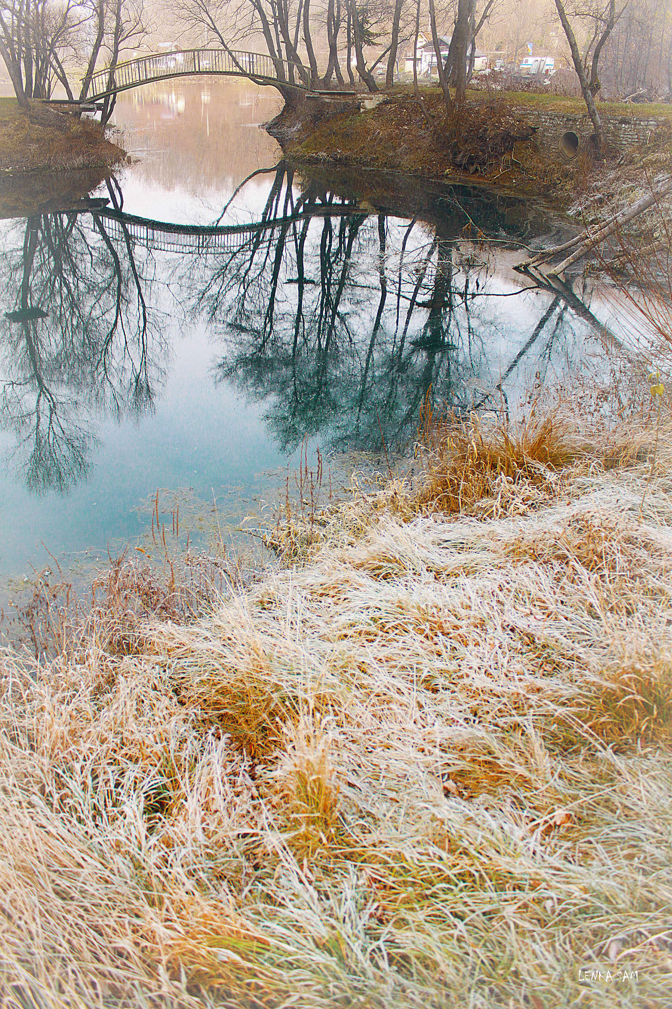 Canon EOS 500D (EOS Rebel T1i / EOS Kiss X3) sample photo. Frosty day photography