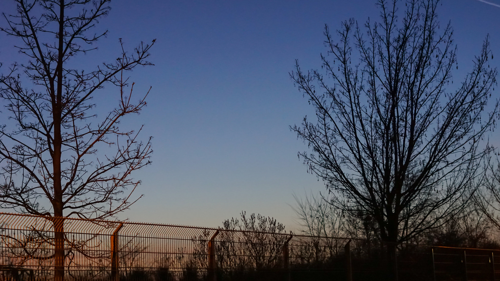 Sony FE 50mm F1.8 sample photo. Last look at sunset, rheinpark duisburg photography