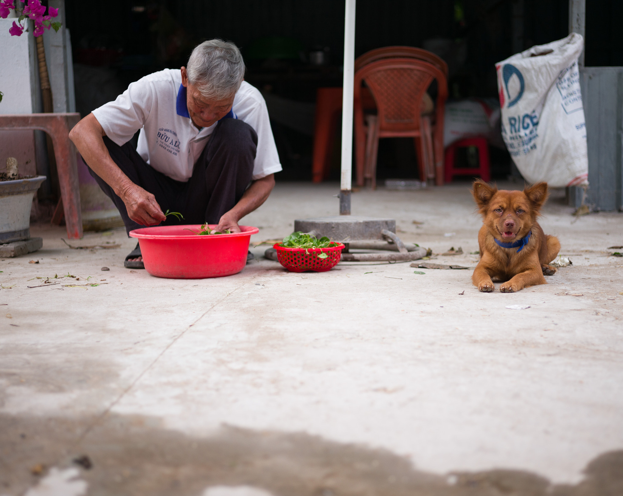 Summicron-M 1:2/50 sample photo. Random shot photography