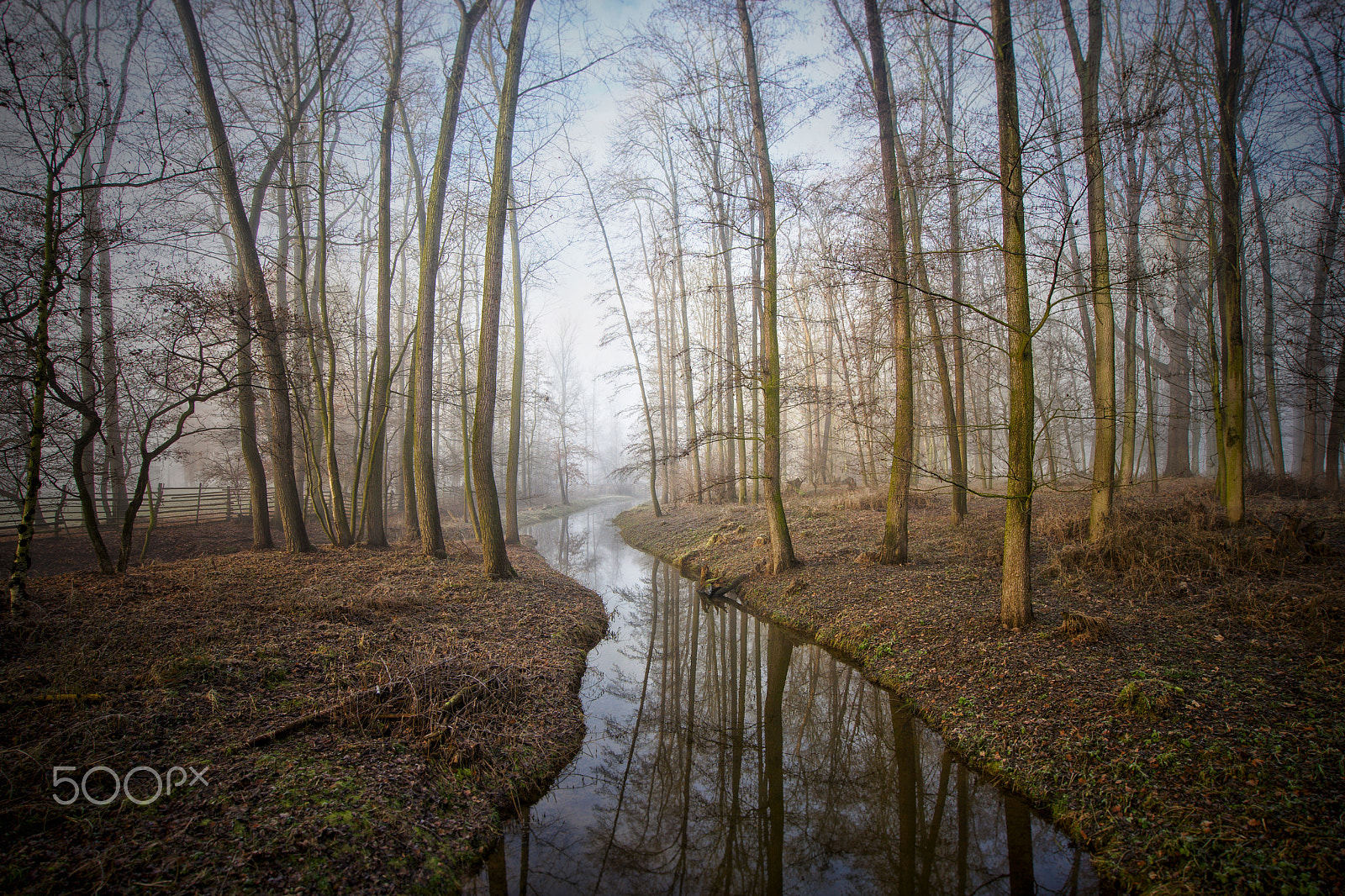 Sony a7 II + Sony Vario-Tessar T* FE 16-35mm F4 ZA OSS sample photo. Park veltrusy, cz photography