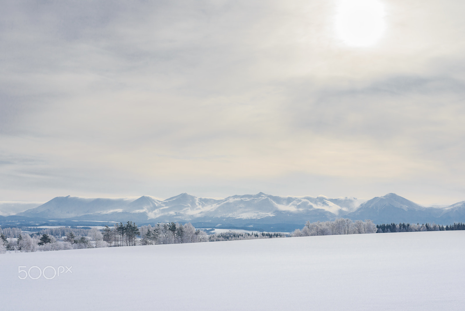 Nikon D800E sample photo. Winter day photography