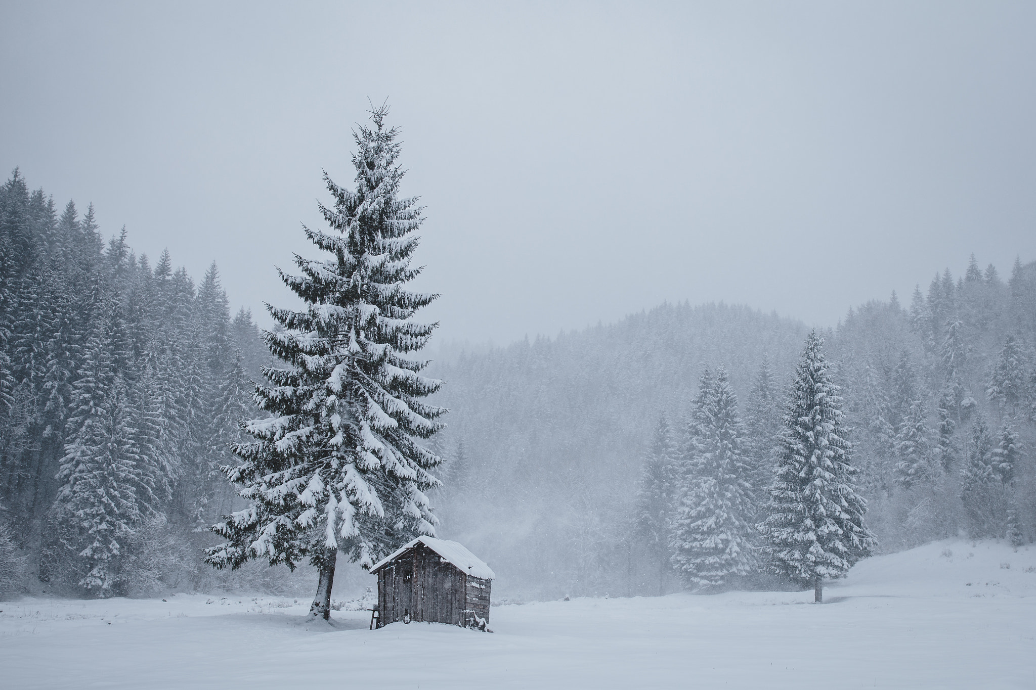 Sigma 24-35mm F2 DG HSM Art sample photo. Blizzard photography