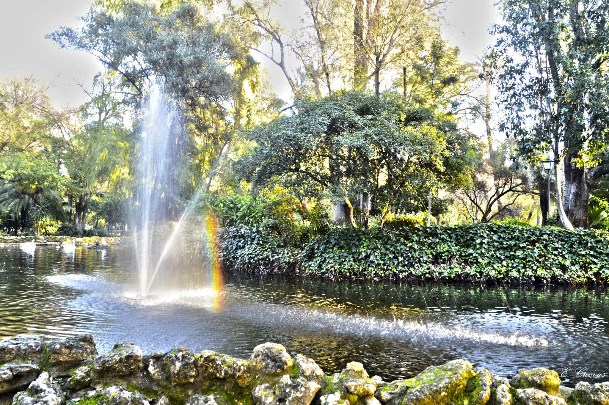 Nikon D3200 sample photo. Parque maría luisa photography