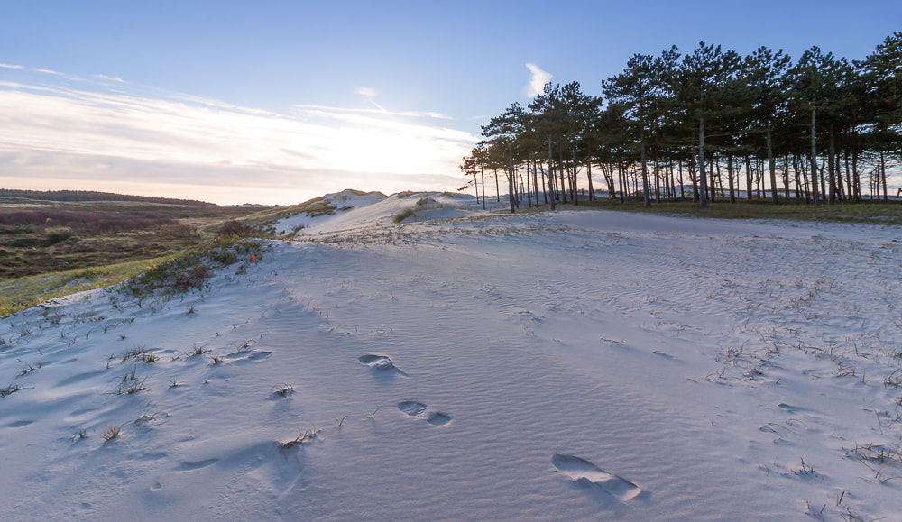 Canon EOS 50D sample photo. Steps in the sand photography
