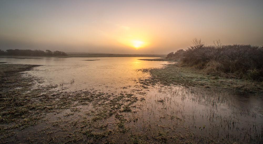Canon EOS 50D + Canon EF-S 10-18mm F4.5–5.6 IS STM sample photo. Sun rising from the mist photography