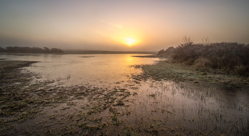 Canon EOS 50D sample photo. Sun rising from the mist photography