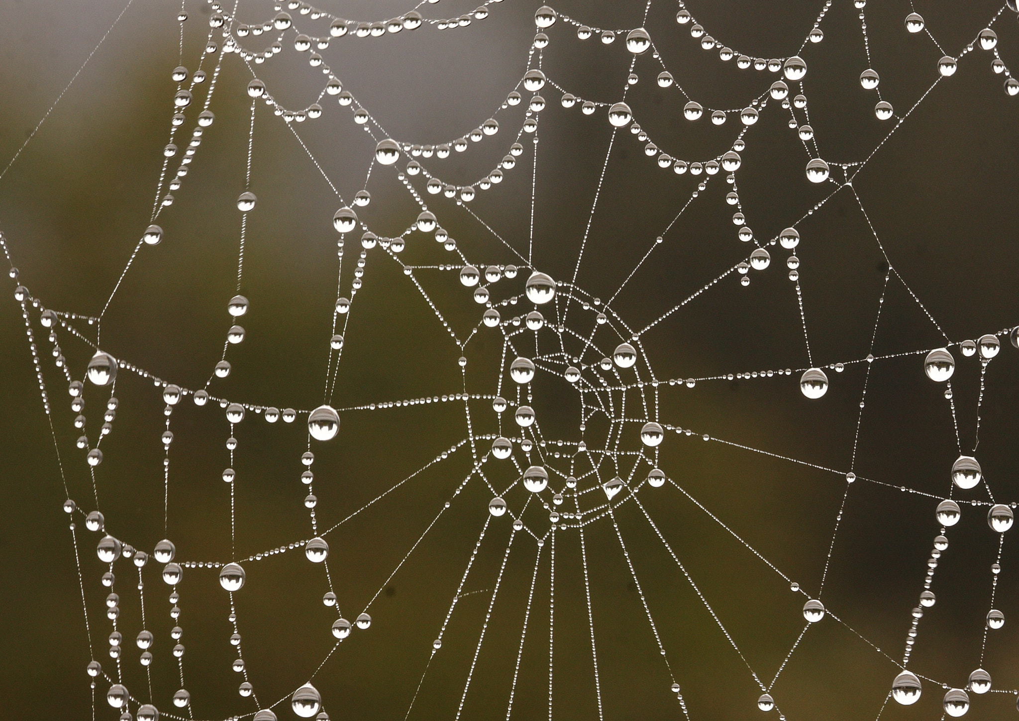 Sigma 105mm F2.8 EX DG OS HSM sample photo. Drops photography