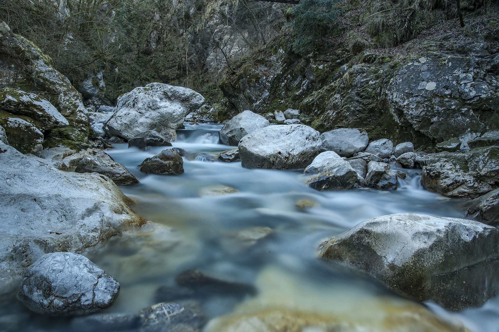 Nikon D3 sample photo