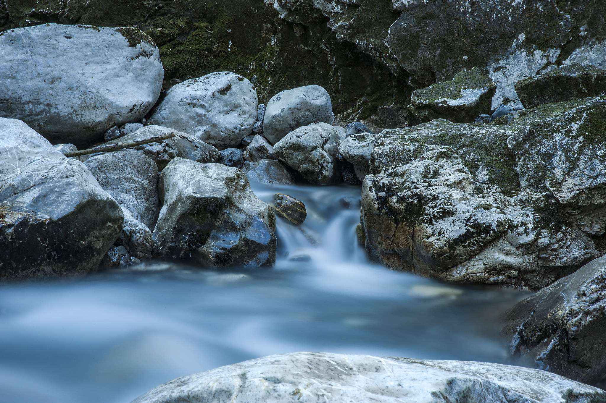 Nikon D3 sample photo
