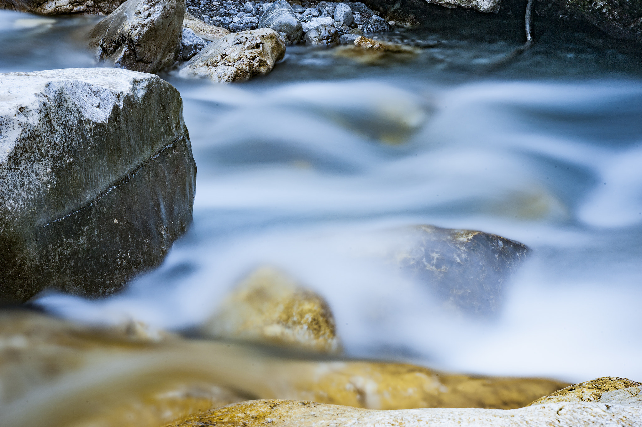 Nikon D3 sample photo