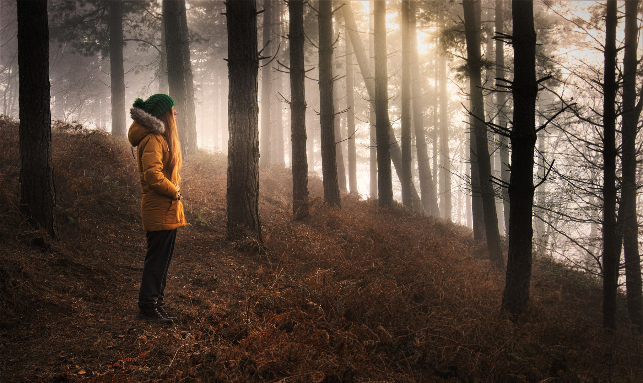 Canon EF 16-35mm F2.8L II USM sample photo. Misty dreams photography