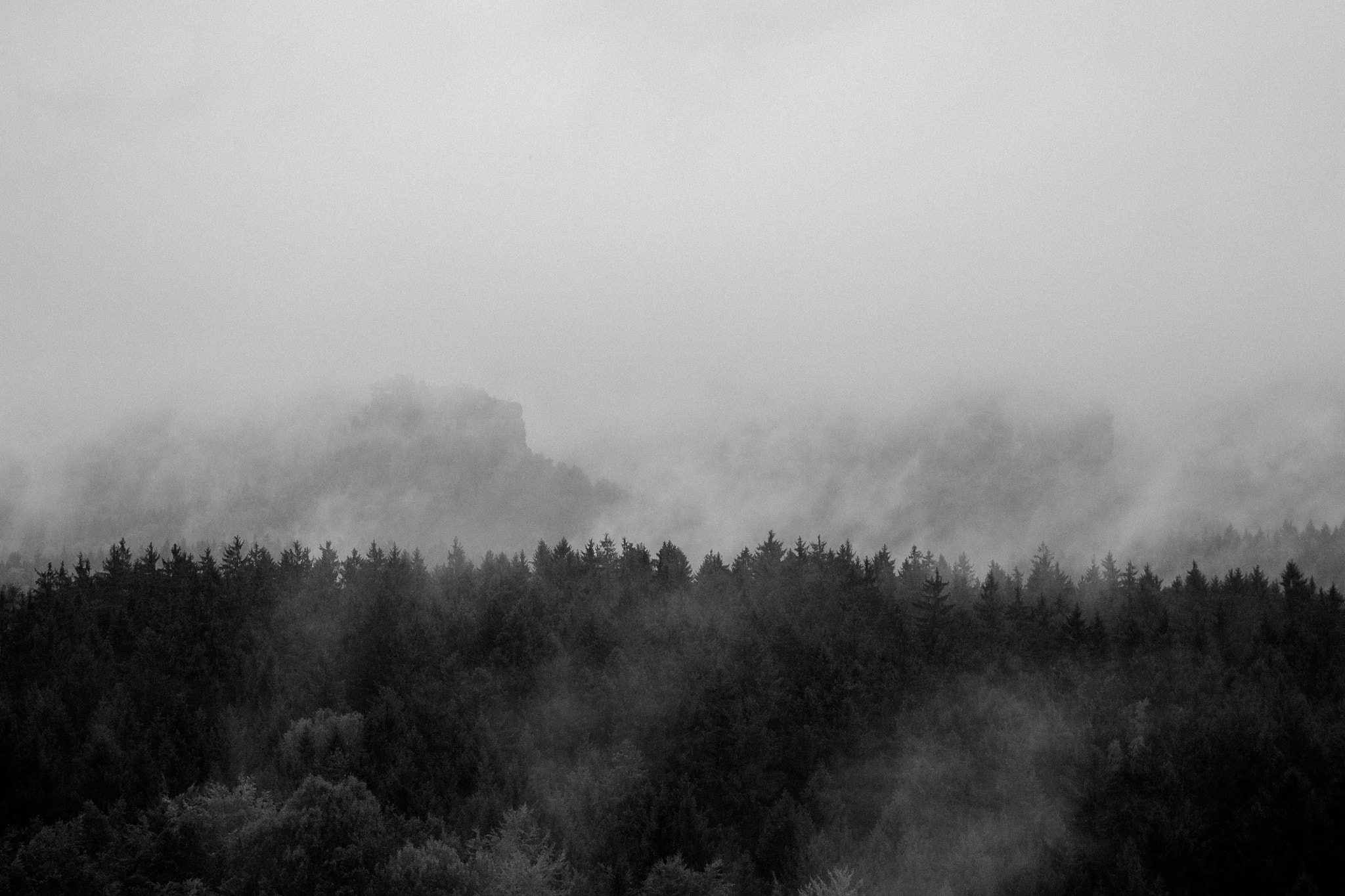 Canon EF 28-80mm f/3.5-5.6 sample photo. Fog photography