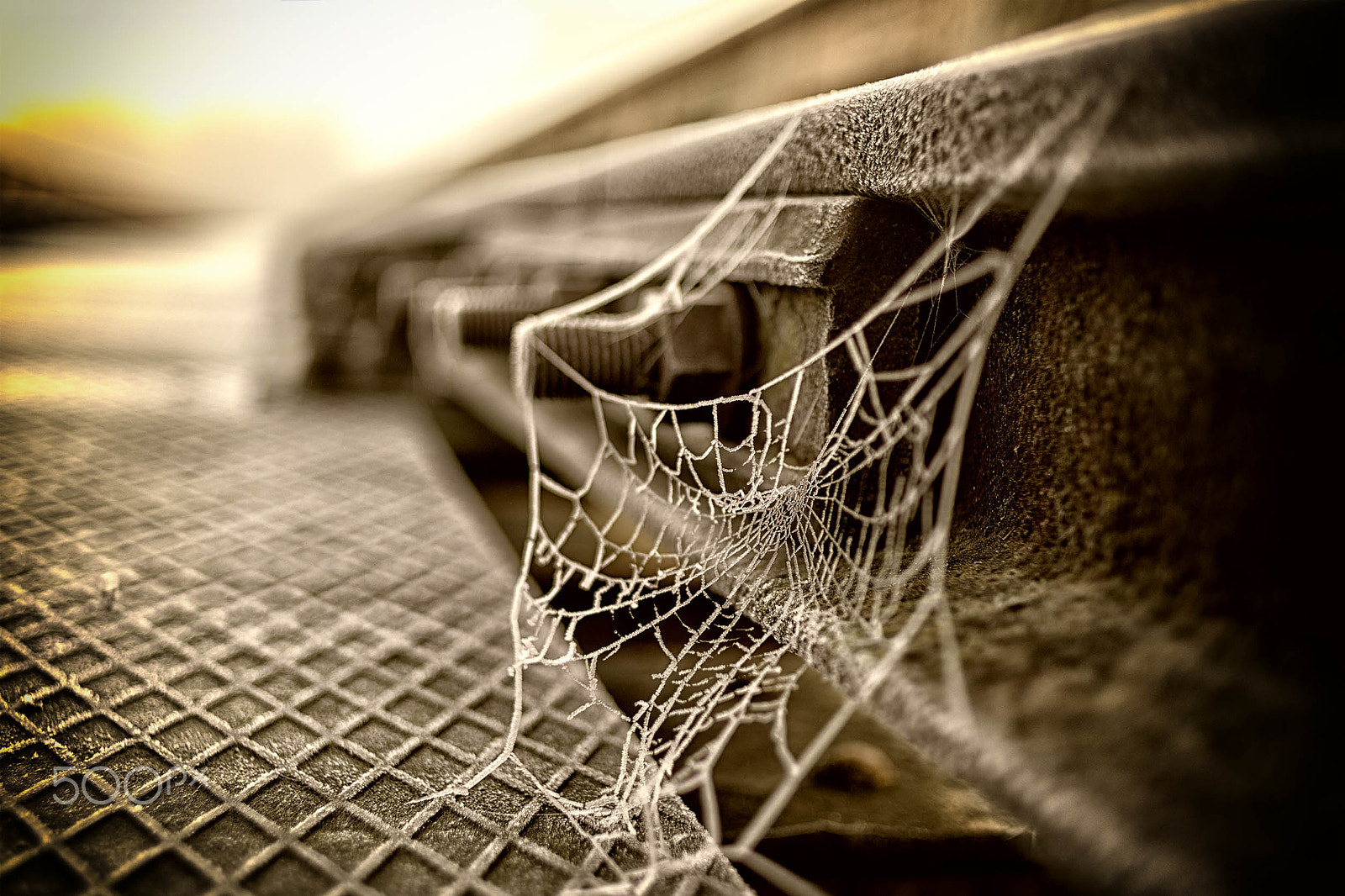 Nikon D750 + Nikon AF Nikkor 35mm F2D sample photo. World wide web photography