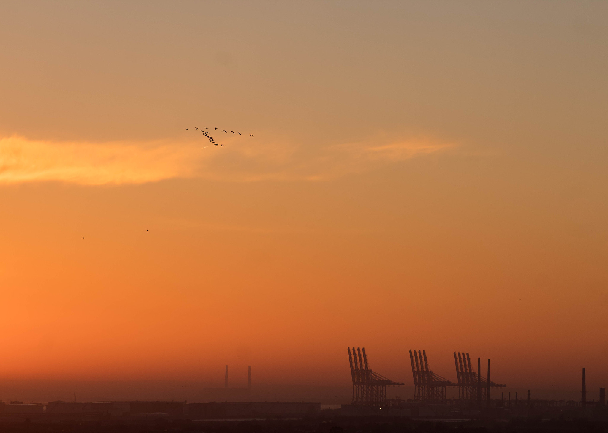 Canon EF 70-300mm F4-5.6 IS USM sample photo. Crane flyby photography