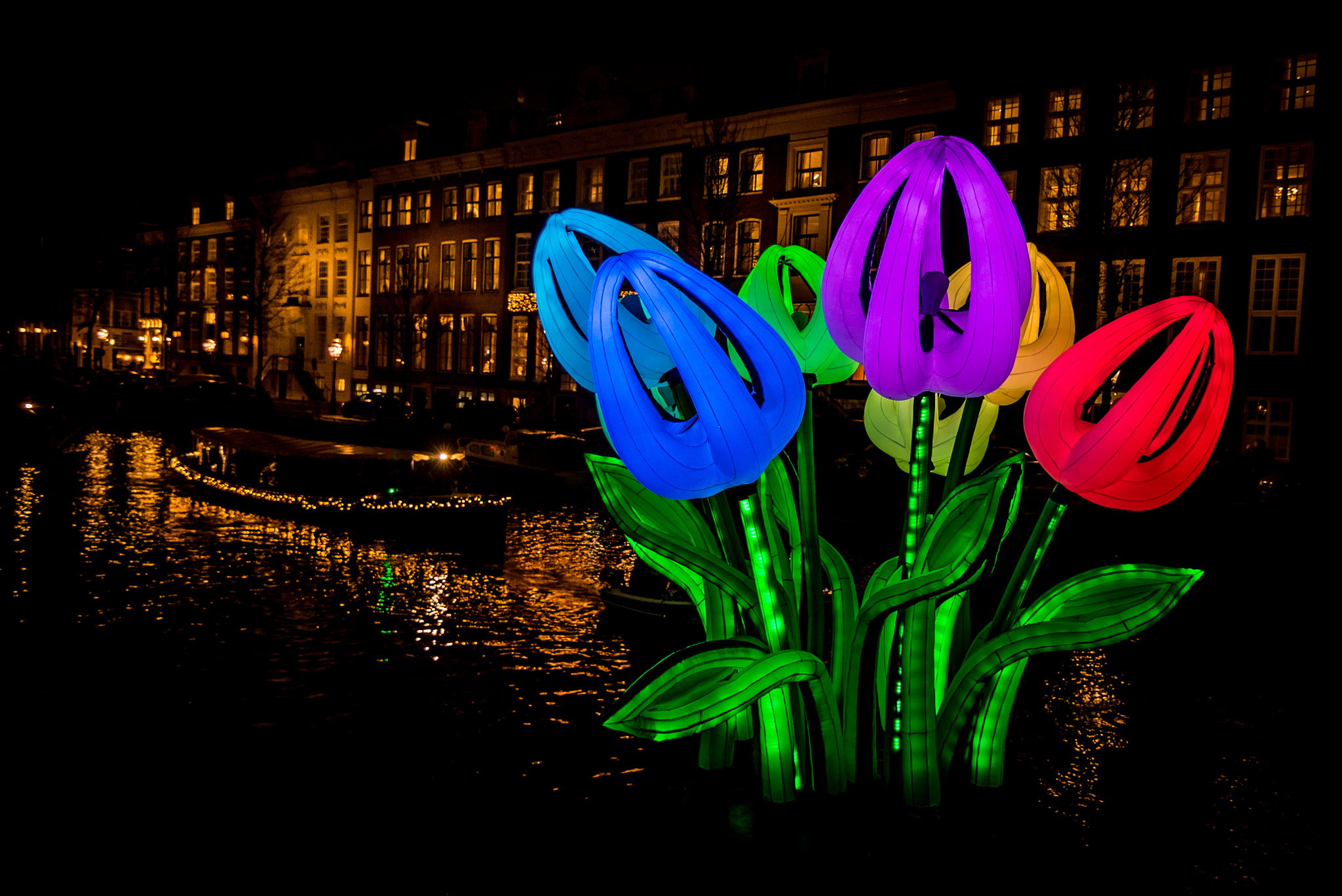 Nikon D600 + Tokina AT-X 16-28mm F2.8 Pro FX sample photo. Tulips at night in amsterdam photography