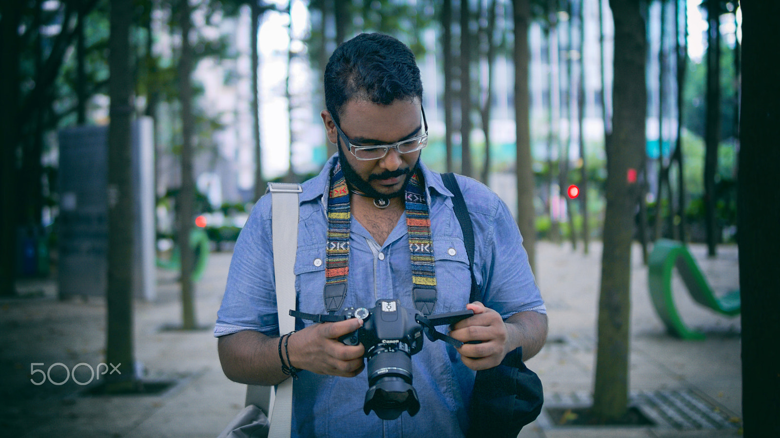 Sony a6000 + Sigma 30mm F1.4 DC DN | C sample photo. Into the woods photography