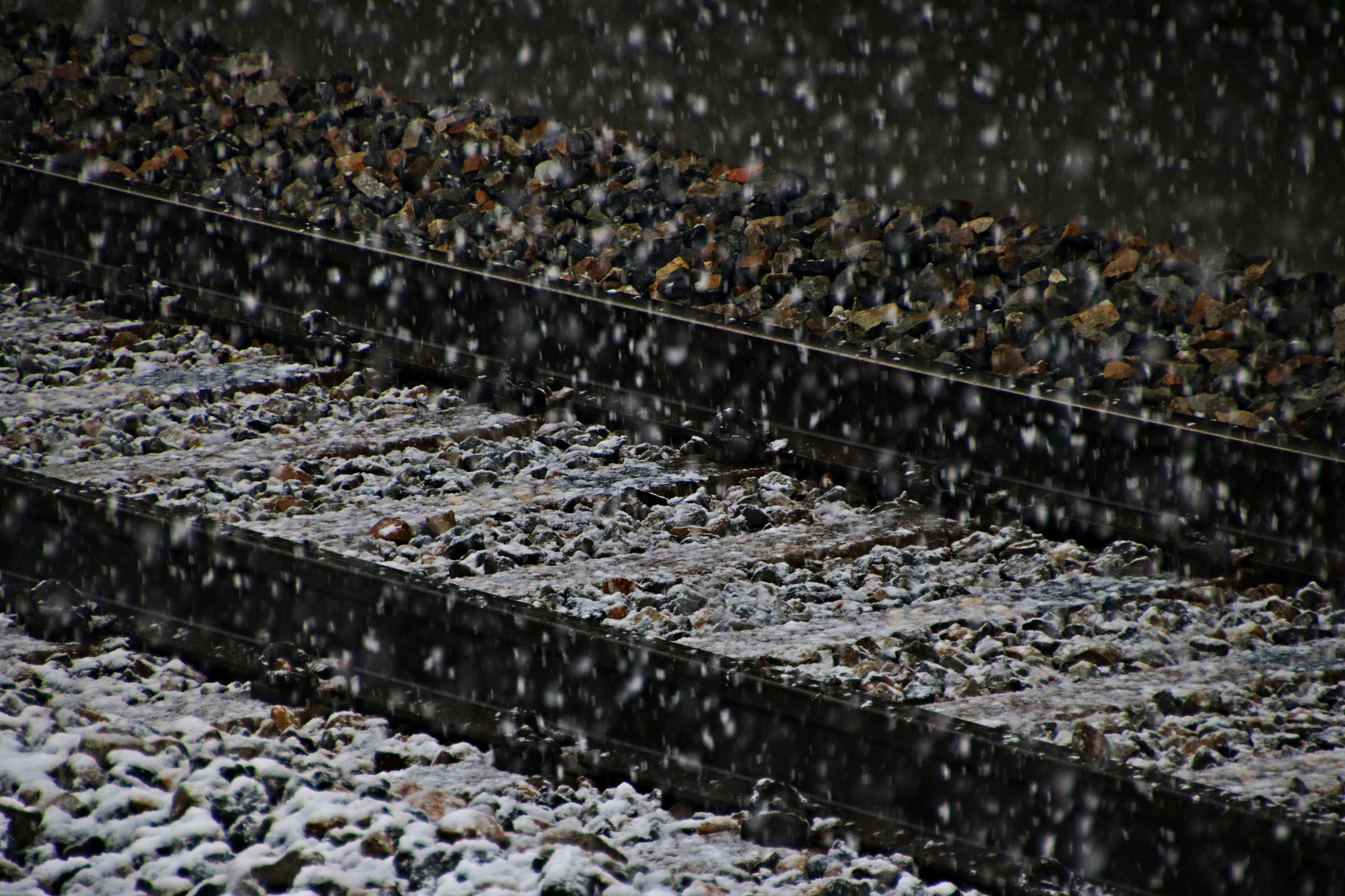 Canon EOS 750D (EOS Rebel T6i / EOS Kiss X8i) sample photo. Img photography