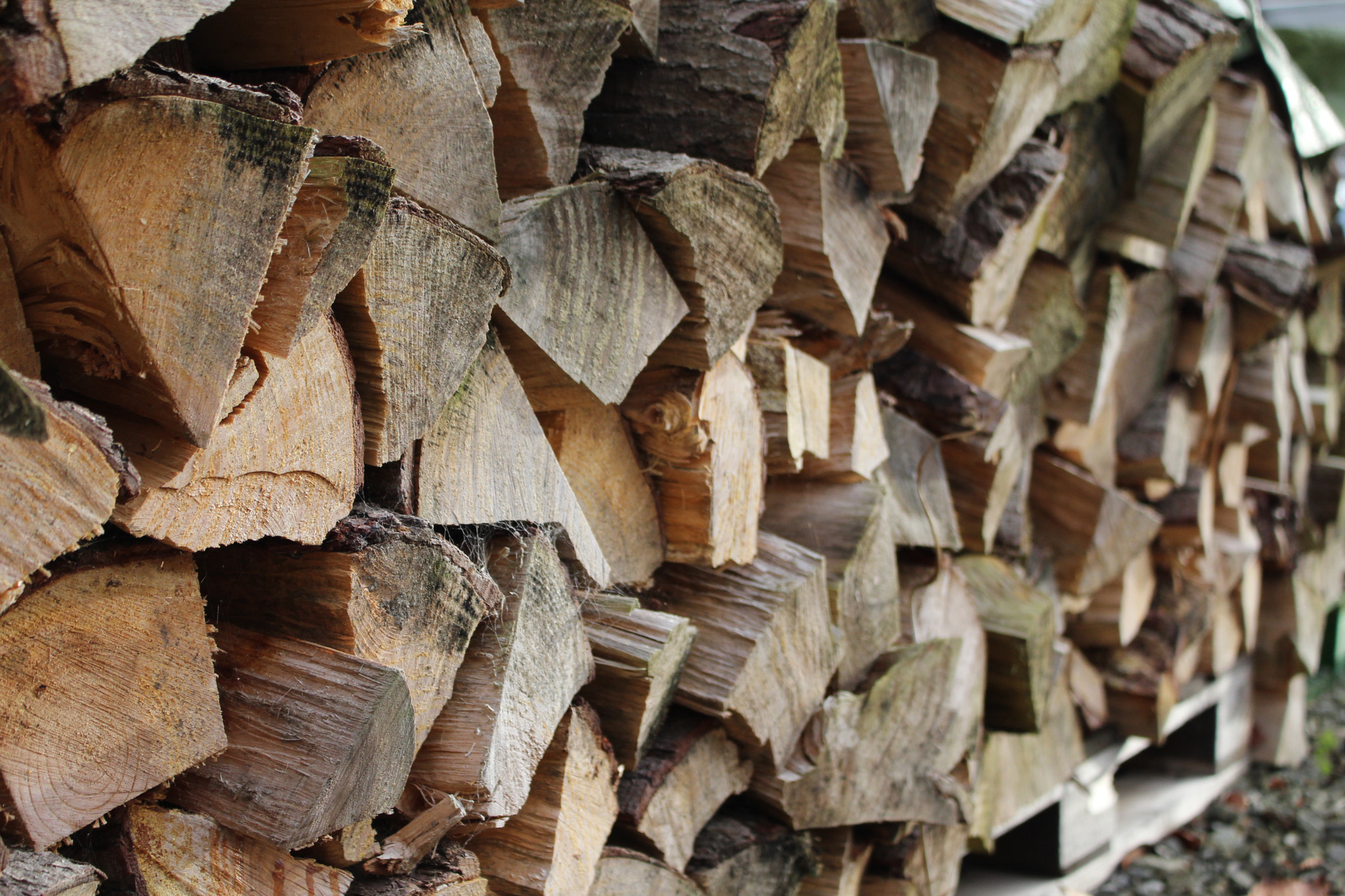 Canon EOS 1300D (EOS Rebel T6 / EOS Kiss X80) sample photo. Firewood photography