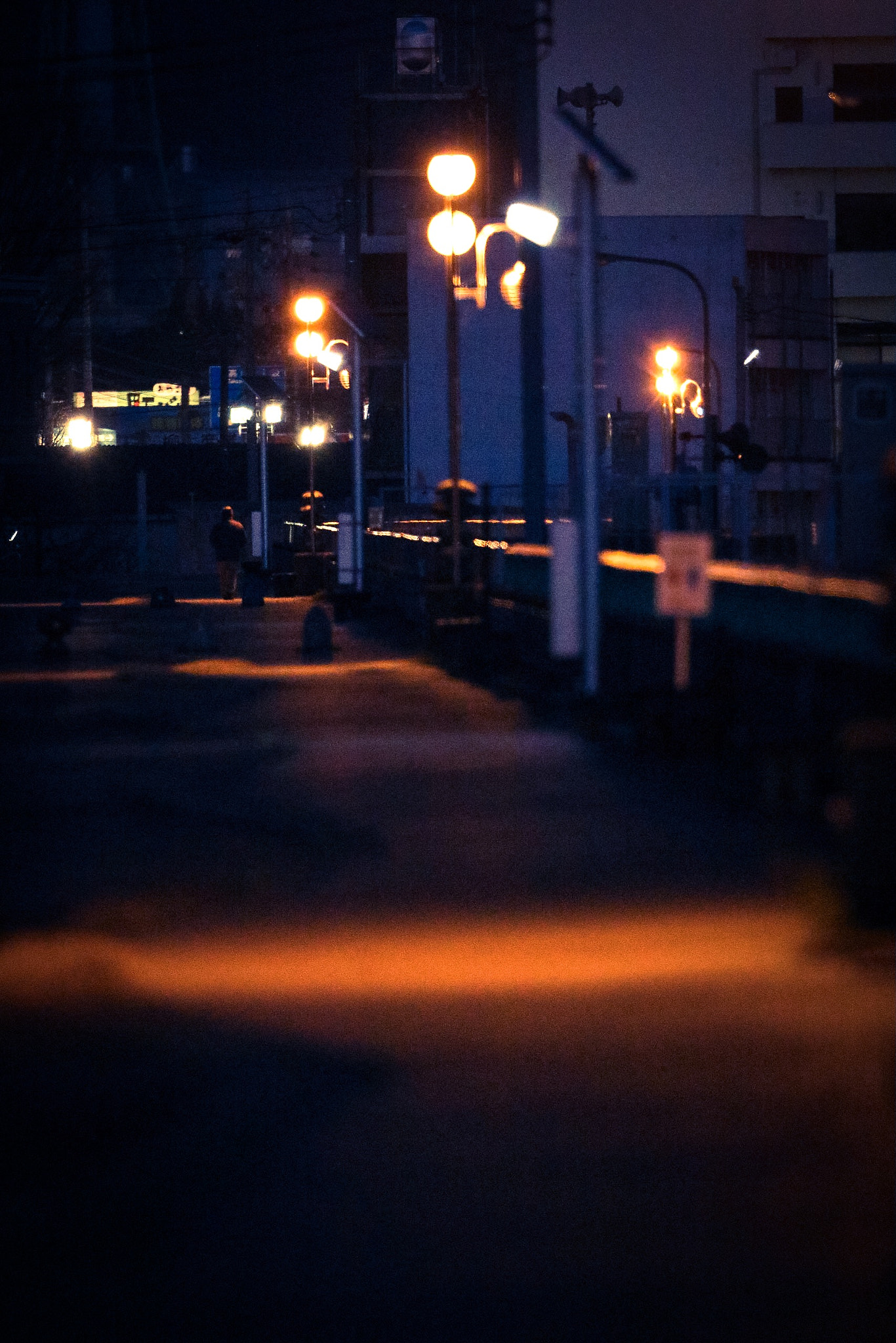 Canon EF 600mm F4L IS II USM sample photo. Evening photography
