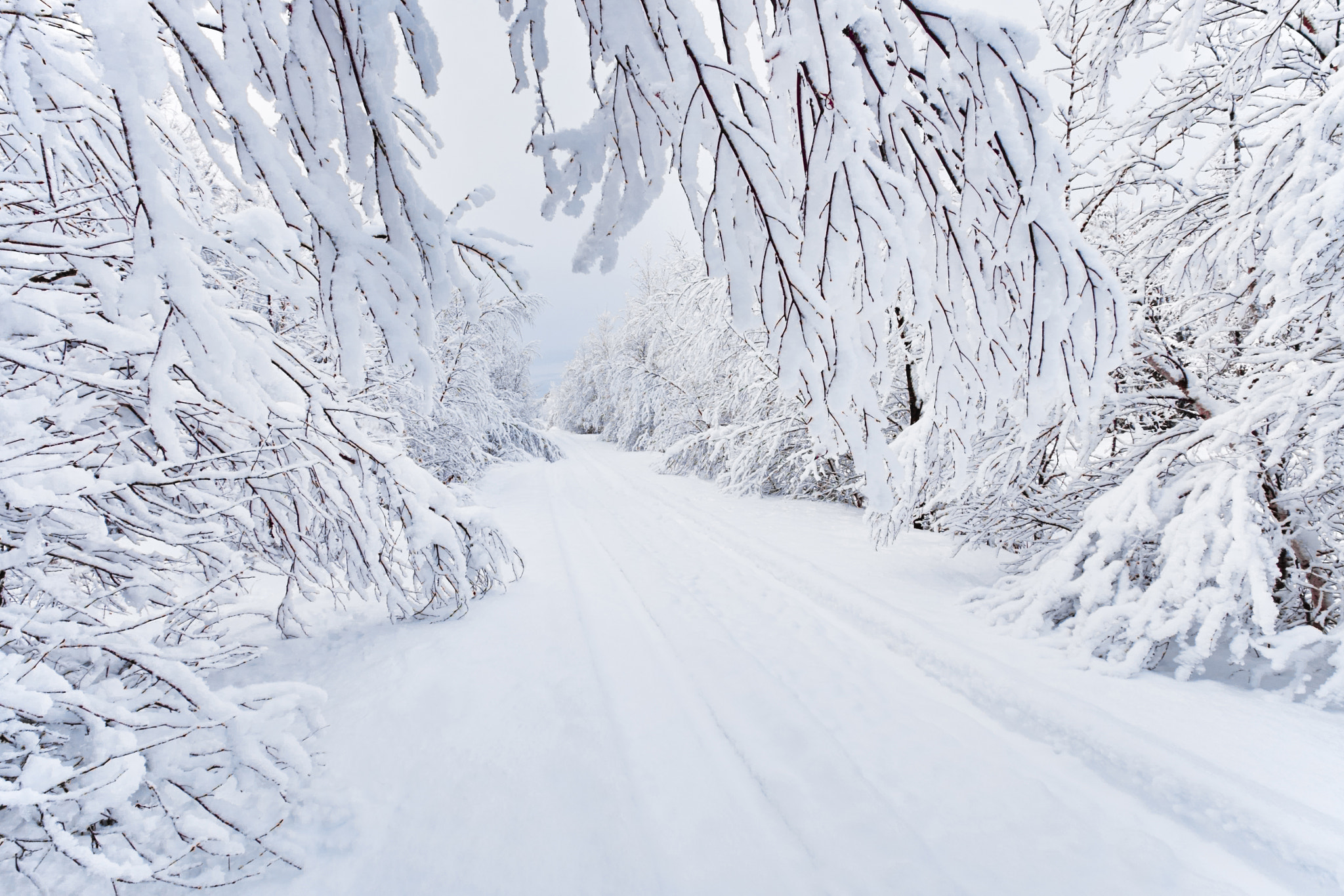 Fujifilm X-T10 + Fujifilm XF 10-24mm F4 R OIS sample photo. Fresh snow photography