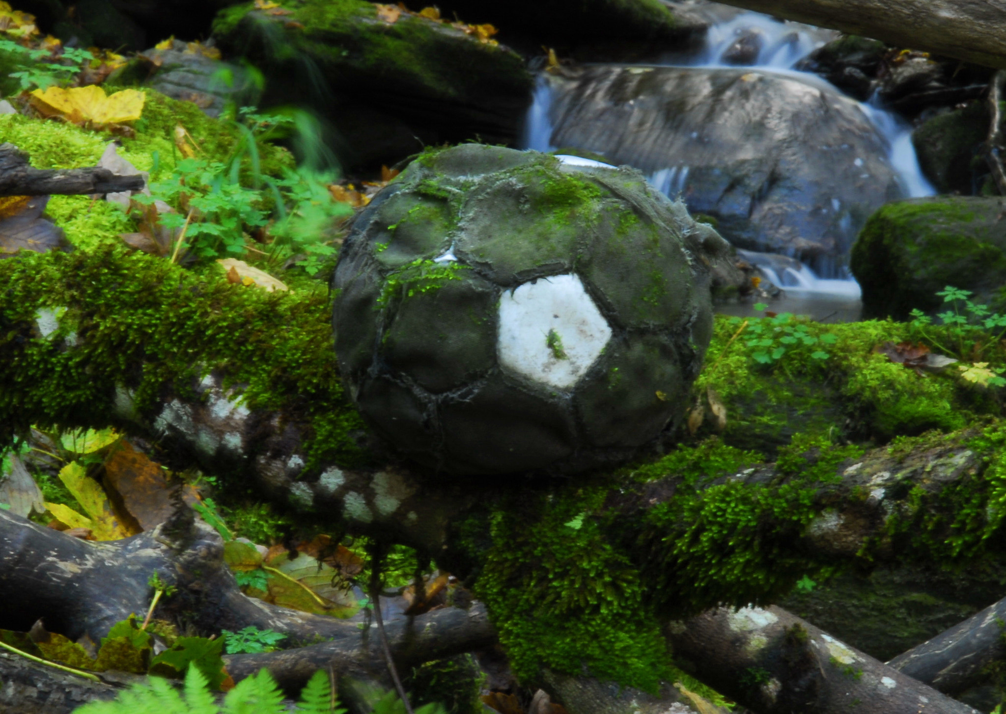Nikon D200 sample photo. Der vergessene fussball photography